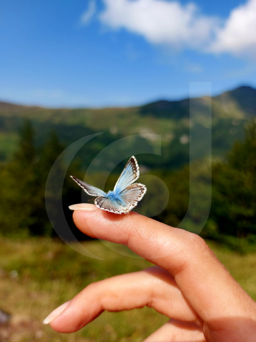 fotografía móvil 1 